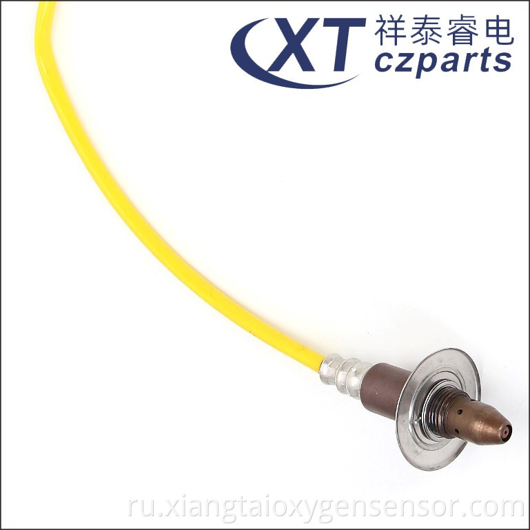 Oxygen Sensor